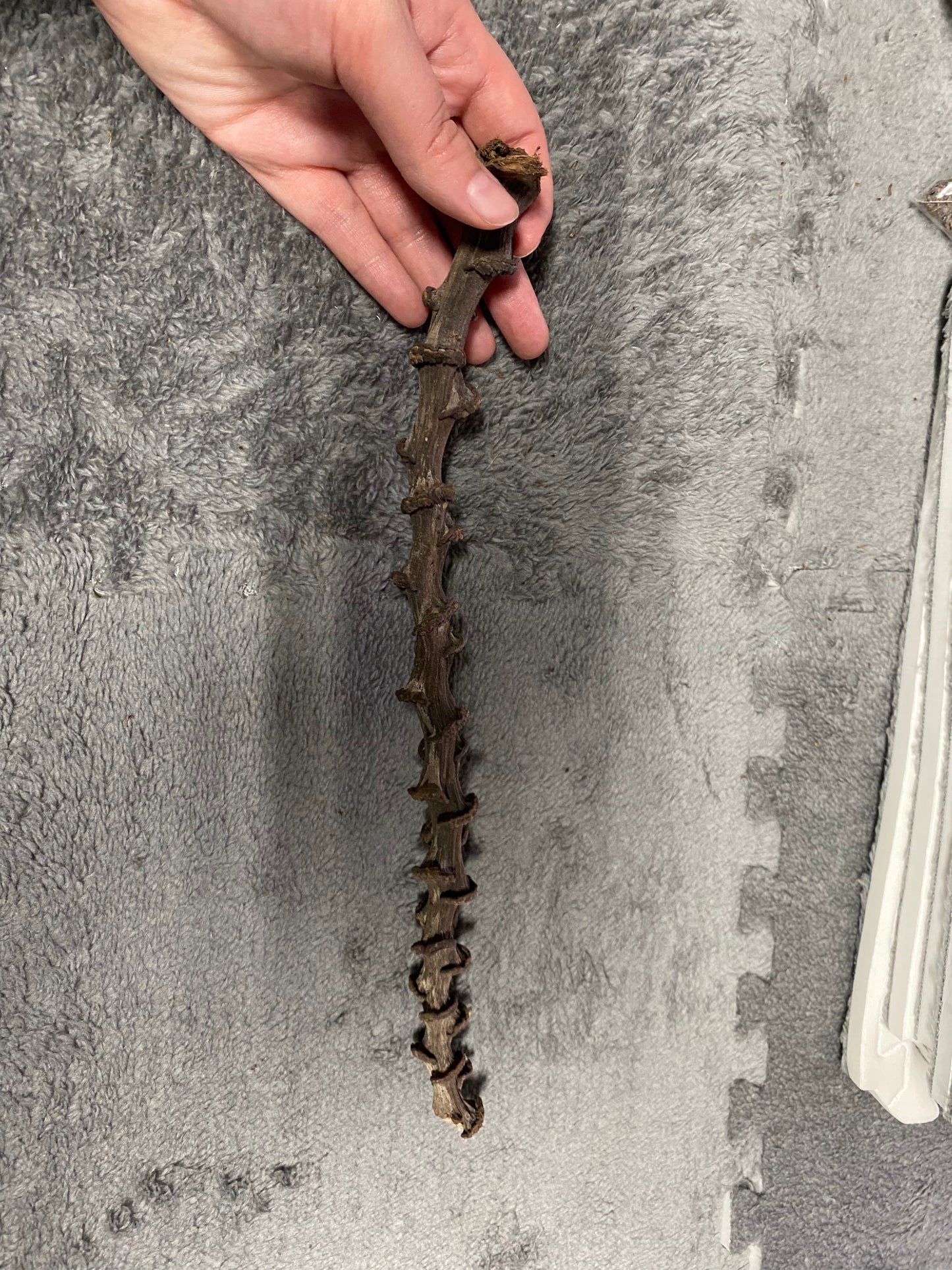 Banana Stick