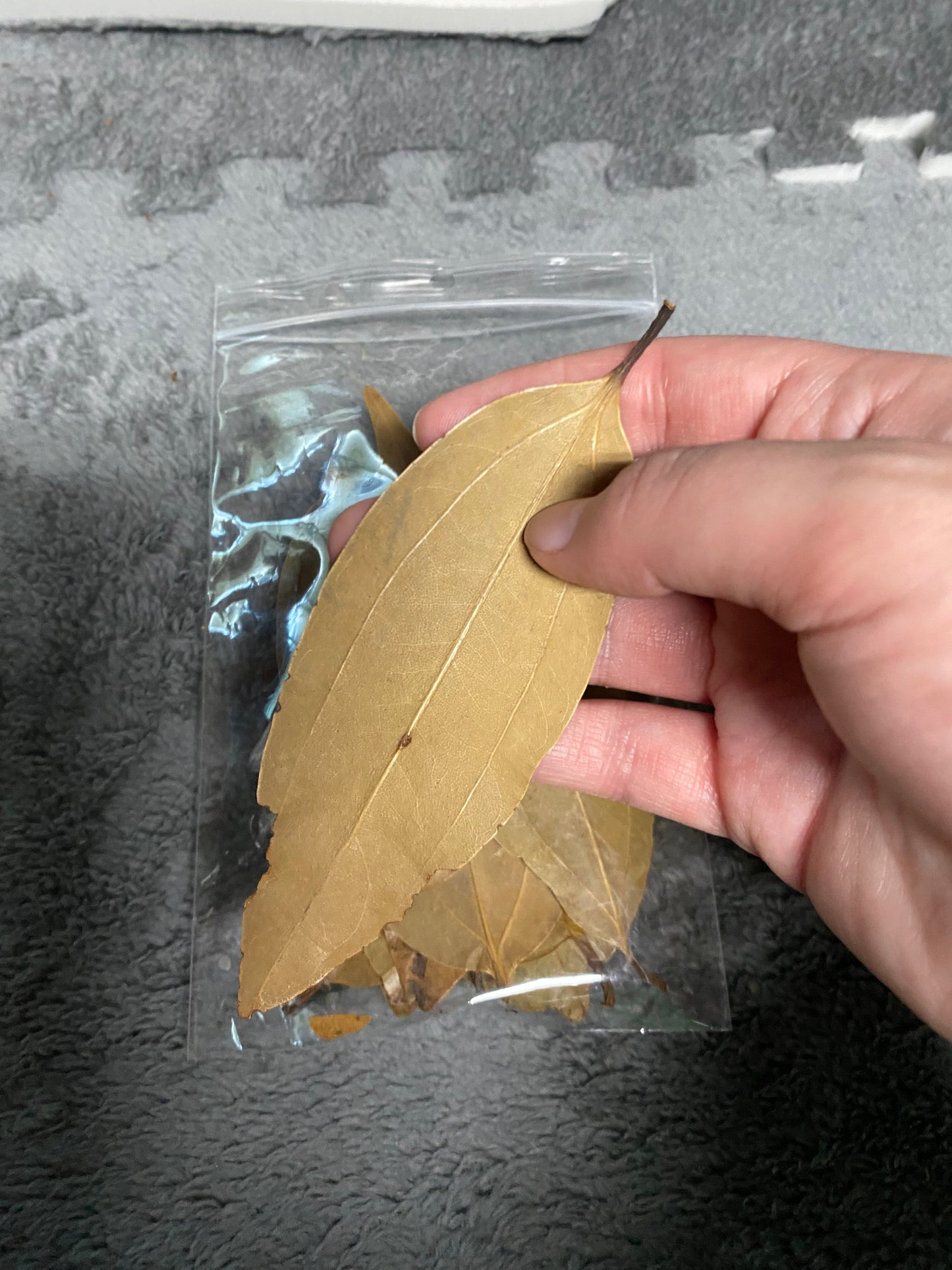 Cinnamon Leaves