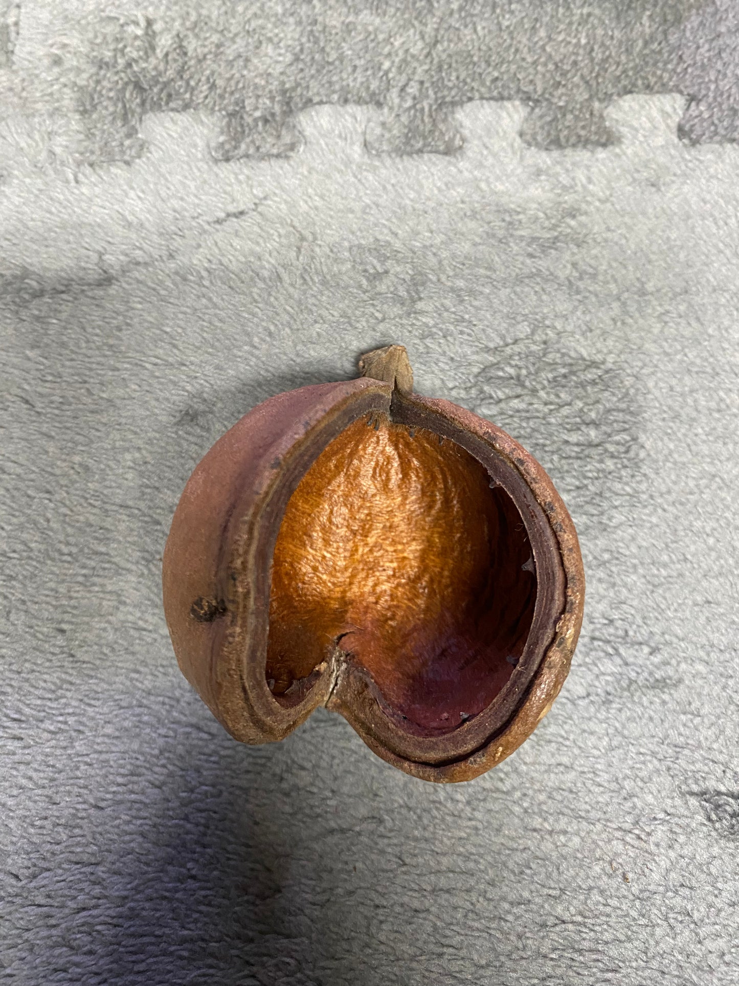Buddha Pod