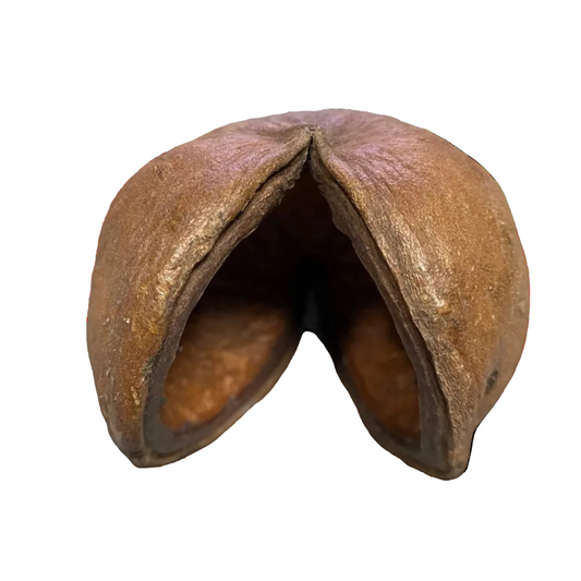 Buddha Pod