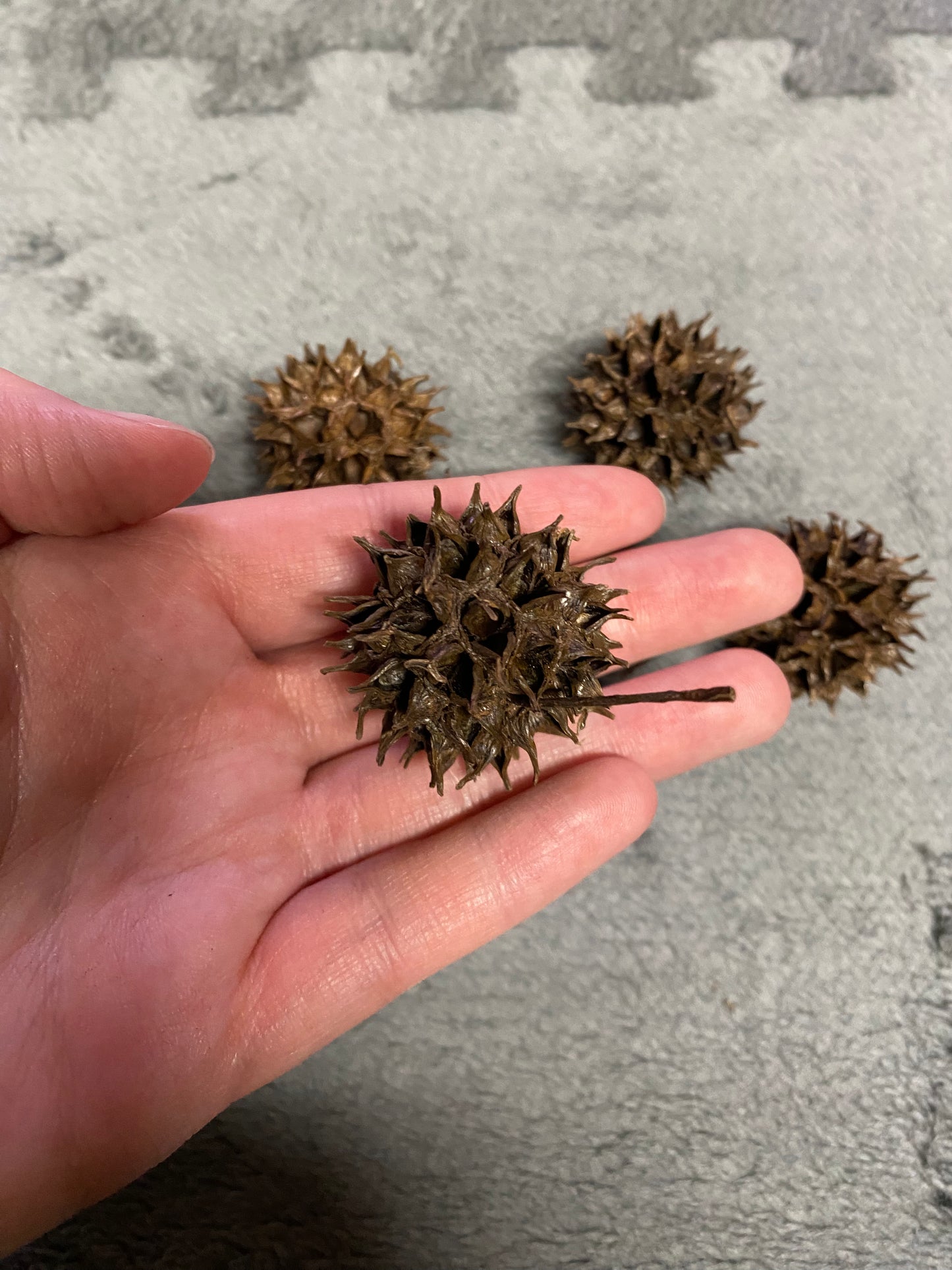Gumball Pods