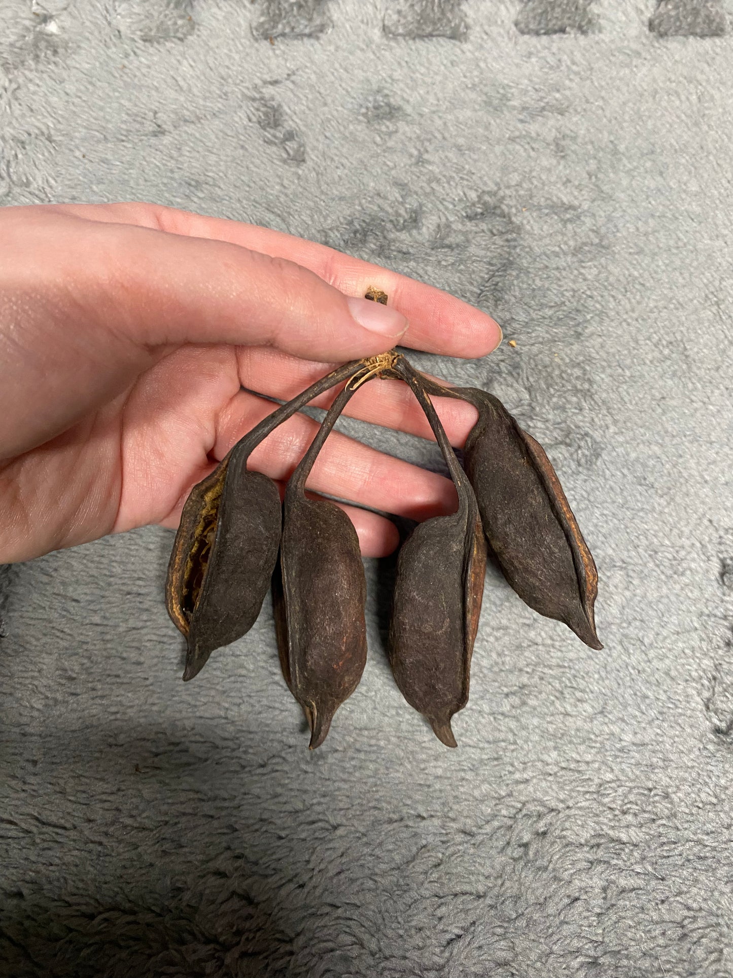 Bottle Pods