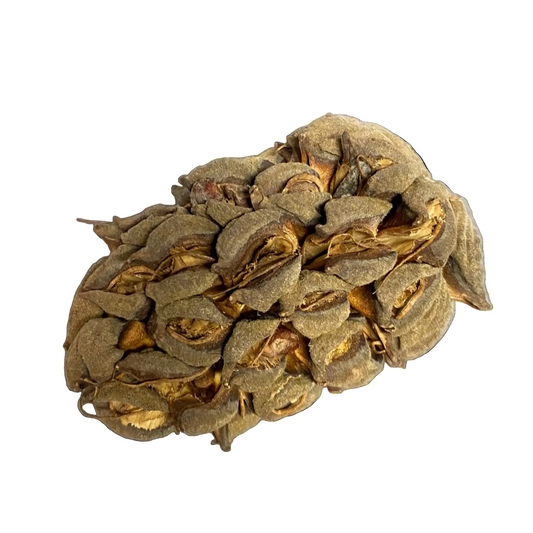 Magnolia Pod