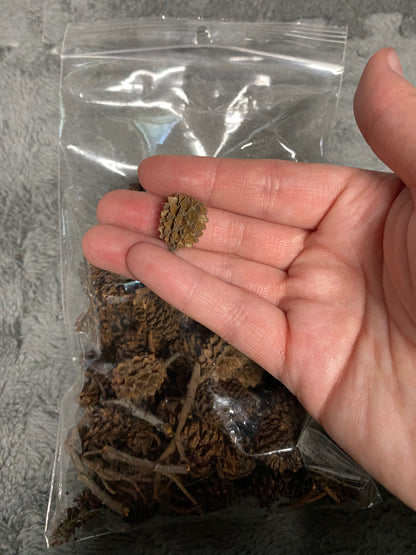 Cone Pack