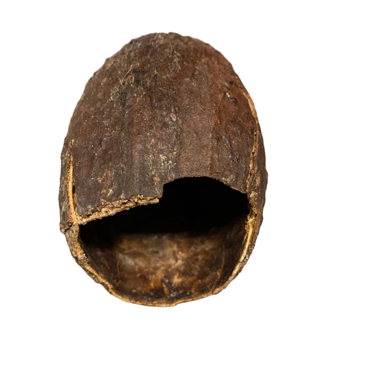 Banana Pod