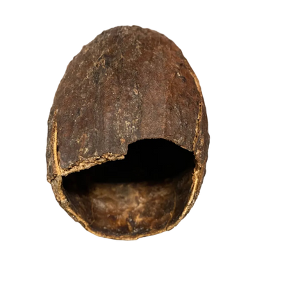 Banana Pod