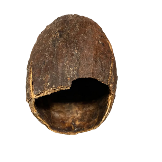 Banana Pod