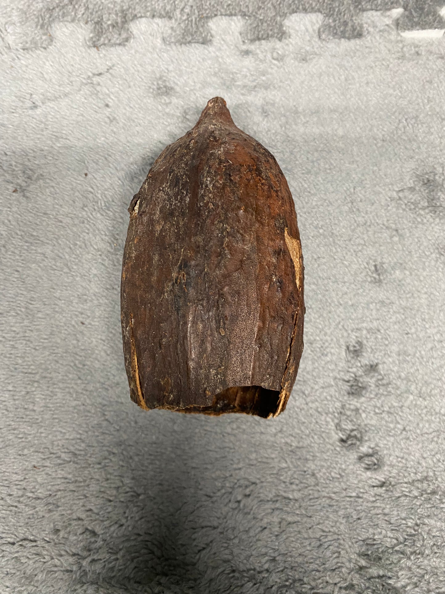 Banana Pod