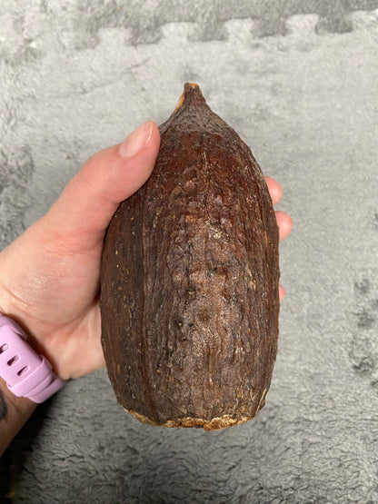 Banana Pod