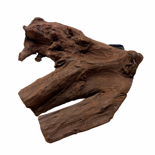 Malaysian Driftwood