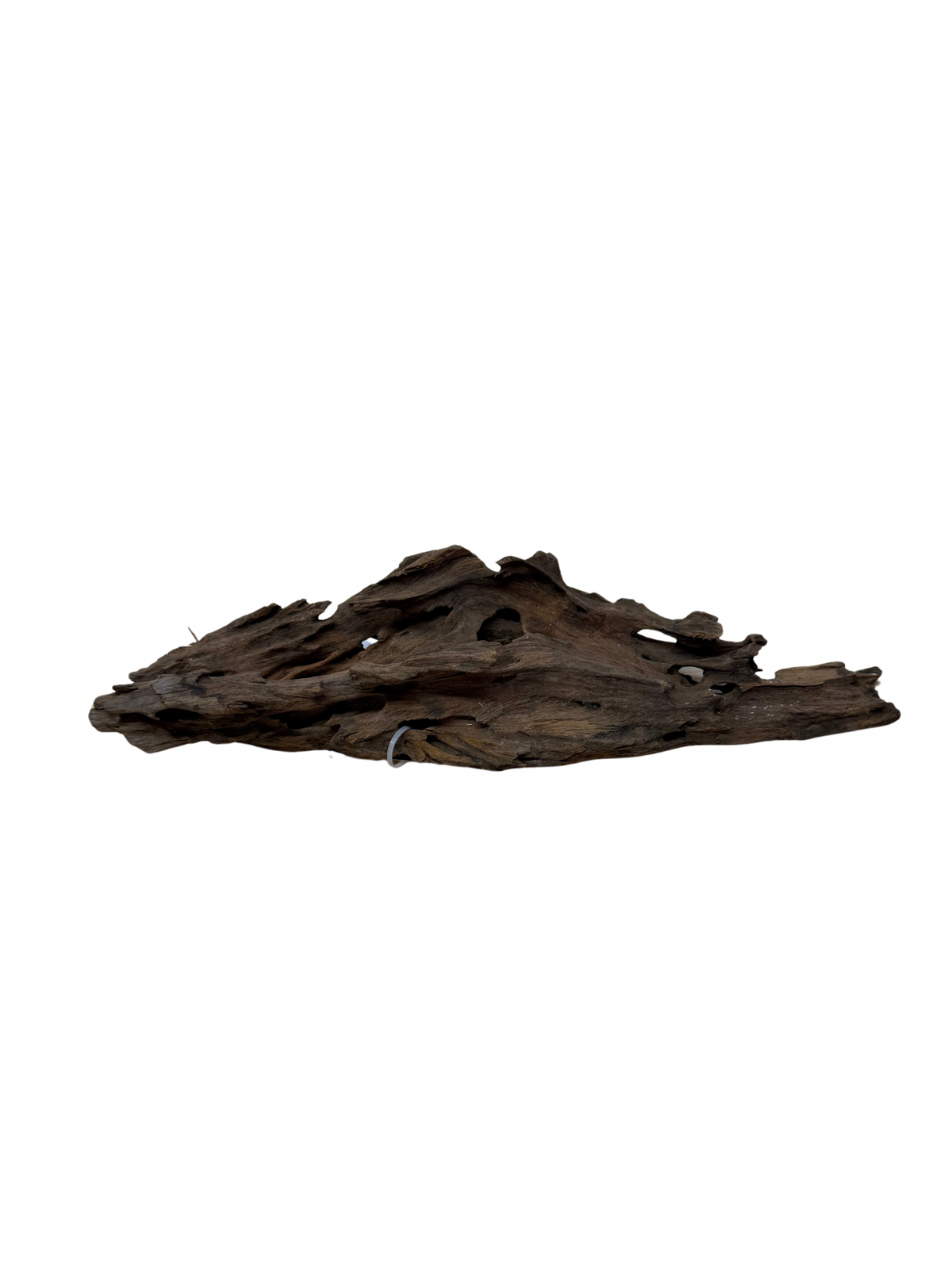 Shrimp Wood