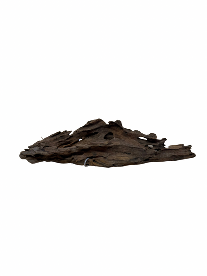 Shrimp Wood